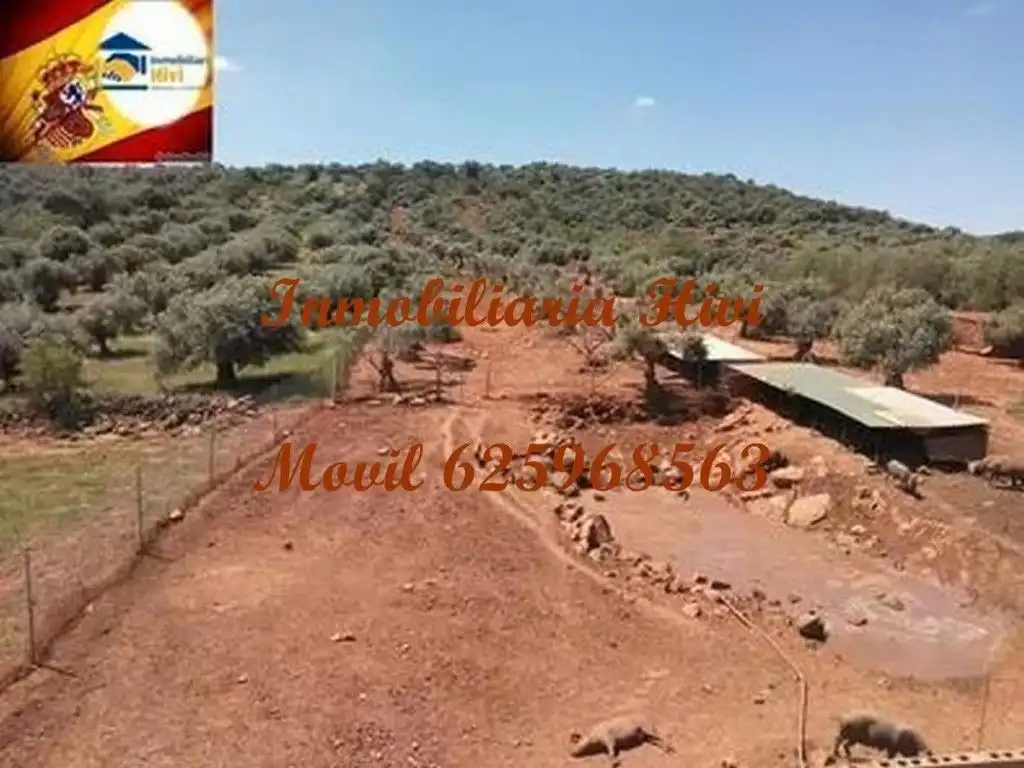 Edifici en venda a Almendral