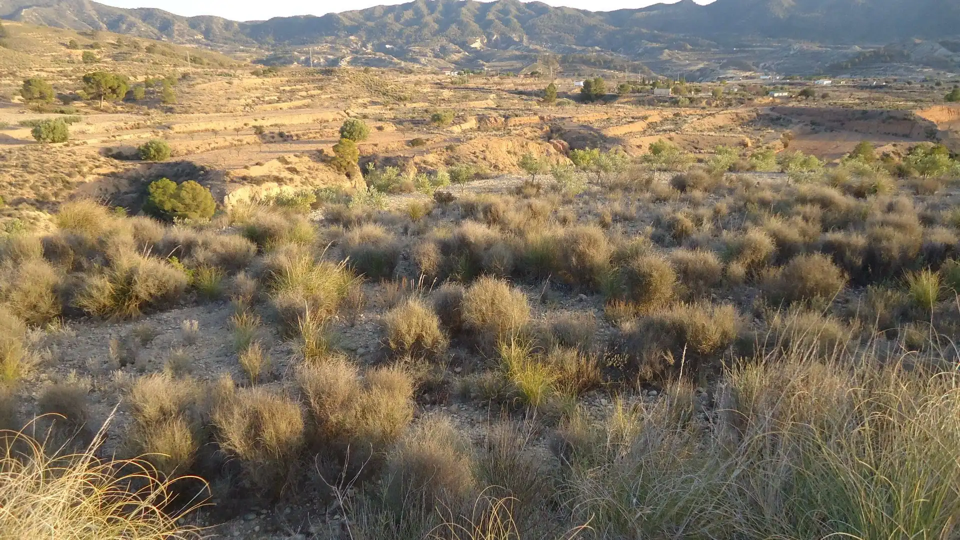 Lands and plots for sale in Abanilla, imagen 14
