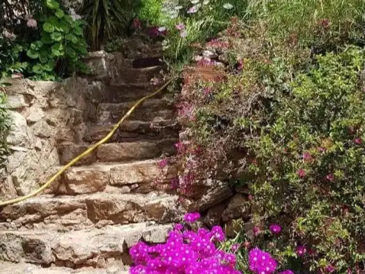 Garden of Houses for sale in Pratdip, Tarragona