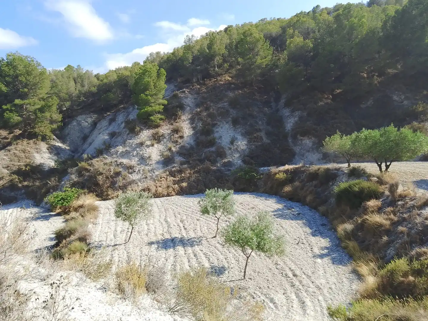 Terreno rustico in vendita a N/A, imagen 115