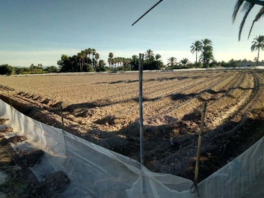 Land for sale in Elche / Elx