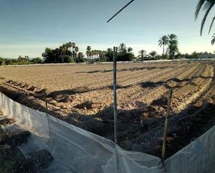 Land for sale in Elche / Elx