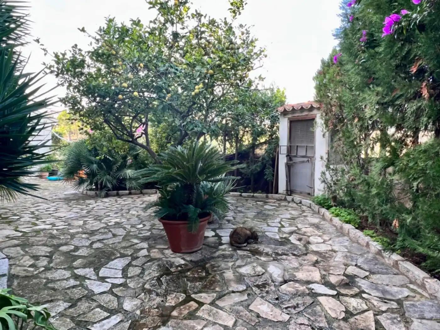House with pool for sale in Campanet, imagen 22