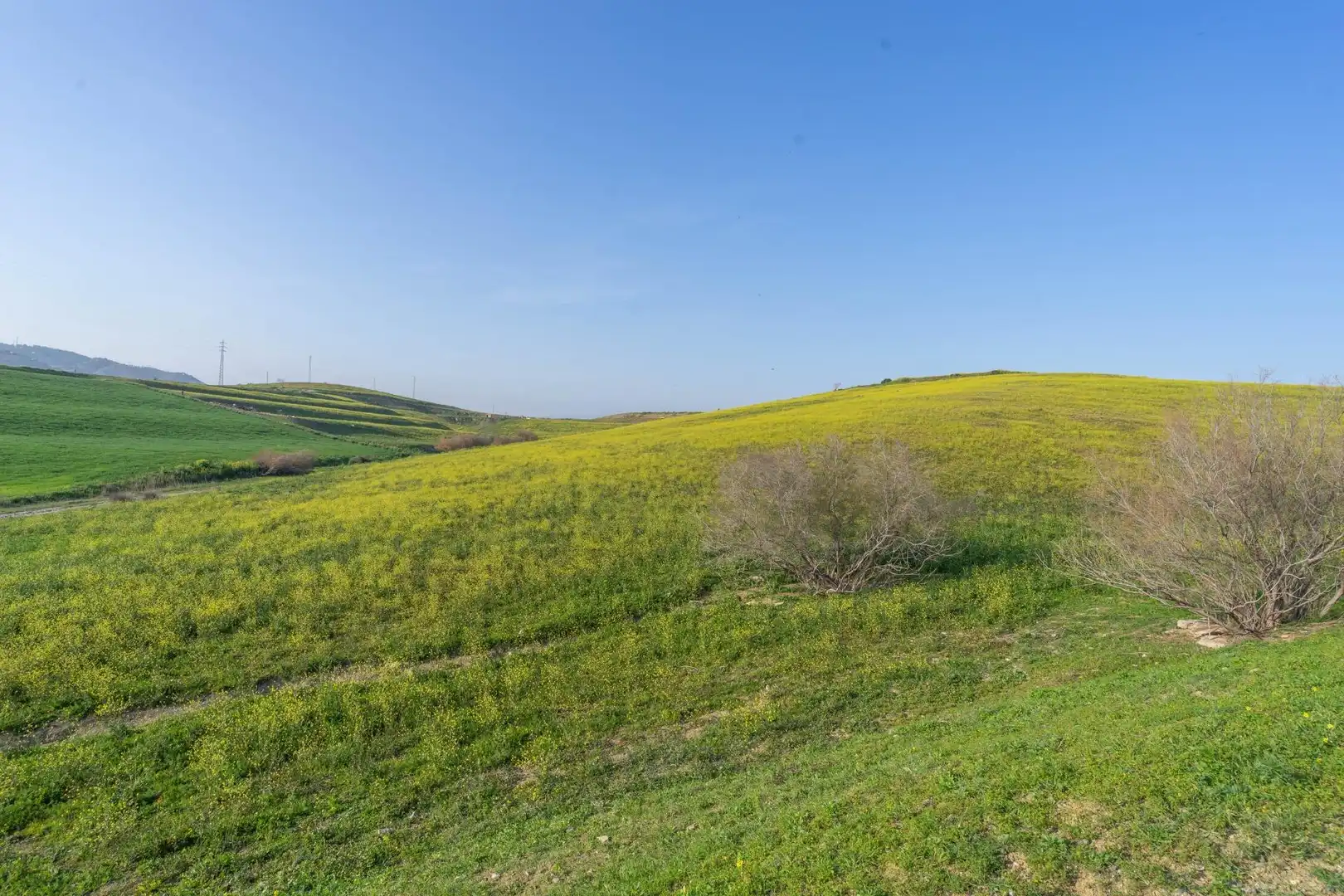 Rural land for sale in Casalpalma - Fahala, imagen 8