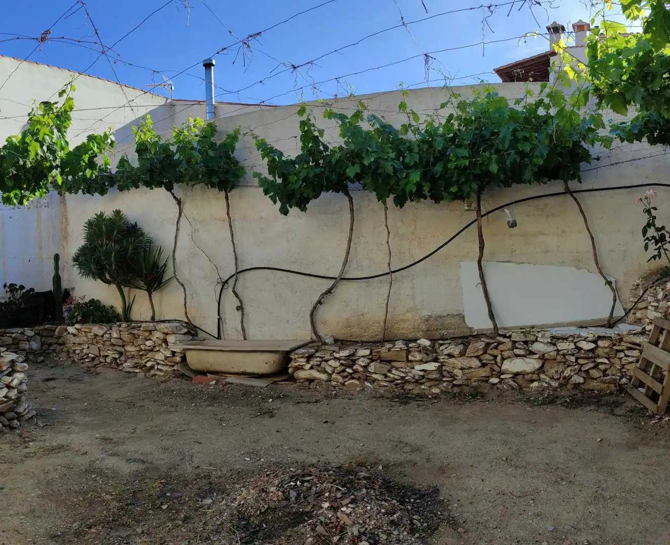 Garden of Commercial properties for sale in Tahal