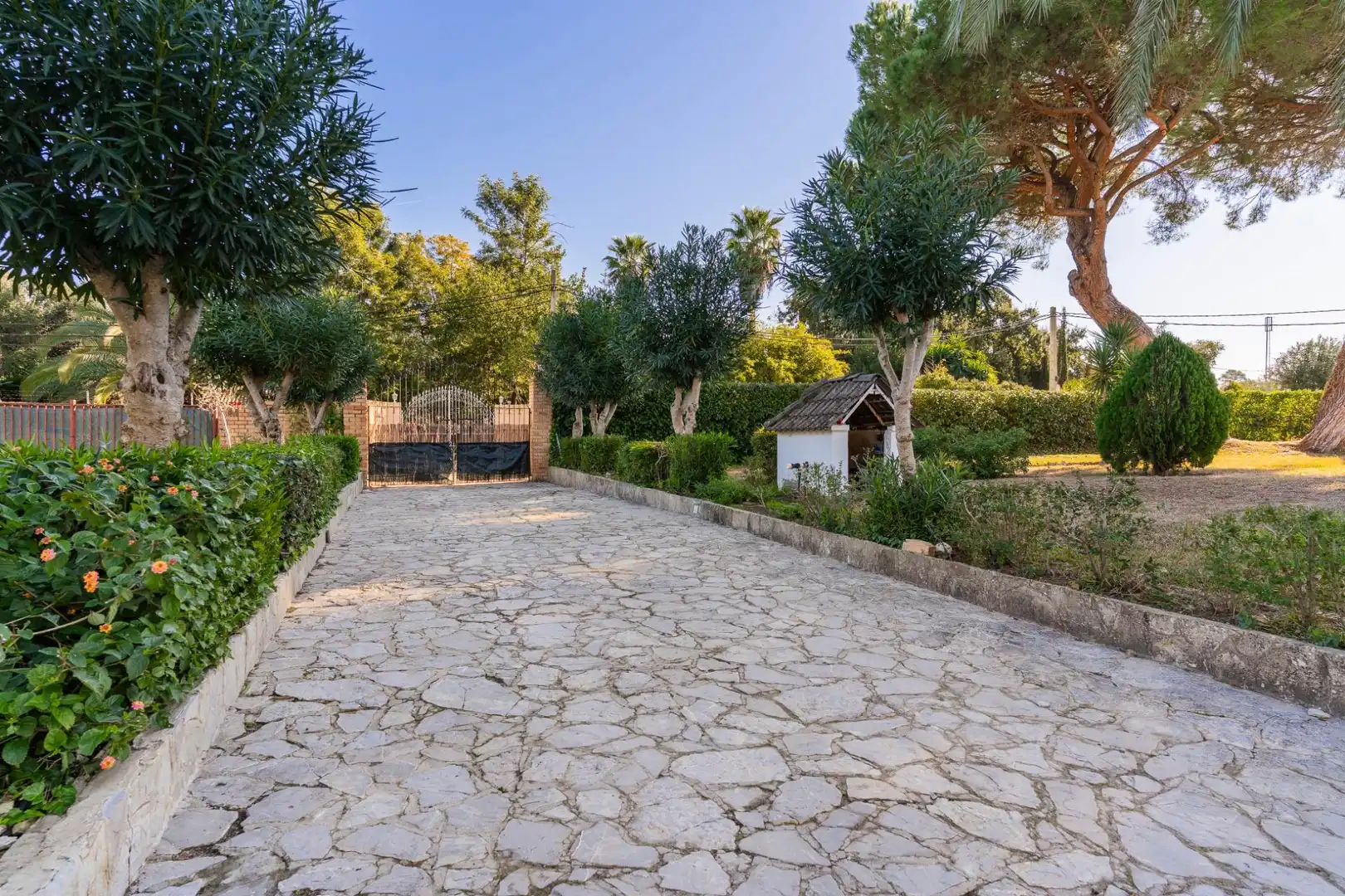 Garden of Houses for sale in Jerez de la Frontera  with Private garden, Swimming Pool and Balcony