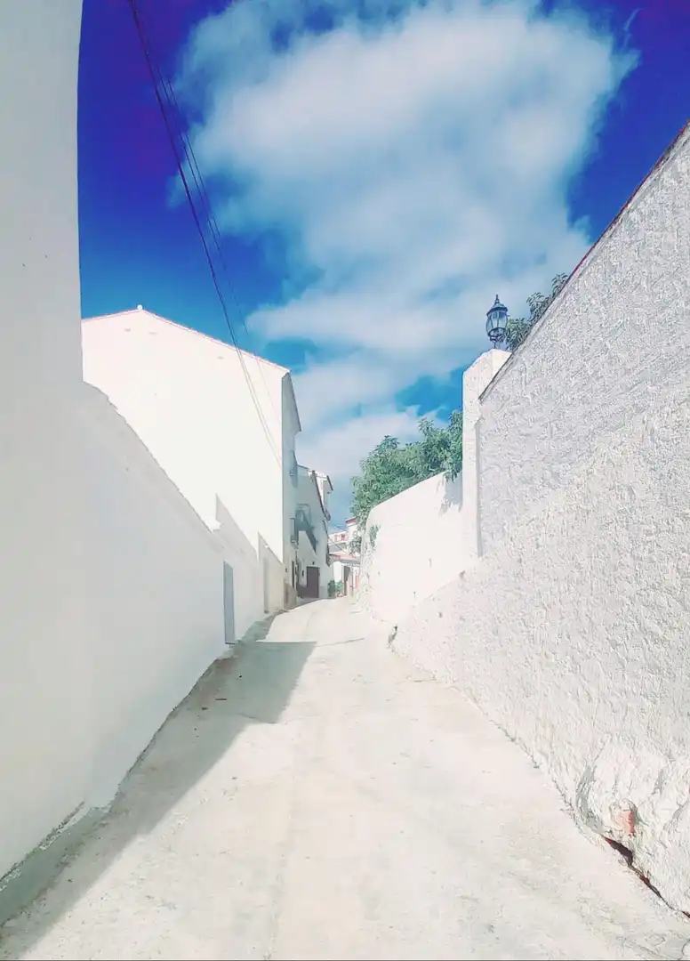 Maison avec jardin à vendre à Canillas de Aceituno, imagen 47