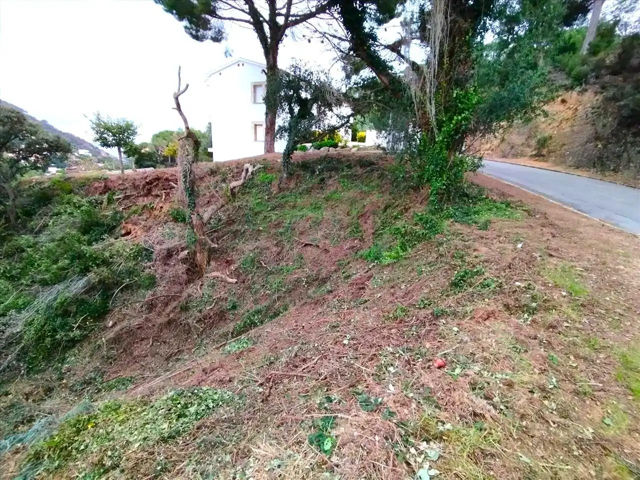 Residential land for sale in Urbanizacion de Rosamar 126, imagen 9
