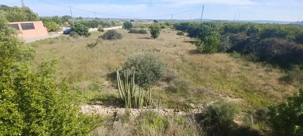 Finca rústica en venda a Albatera