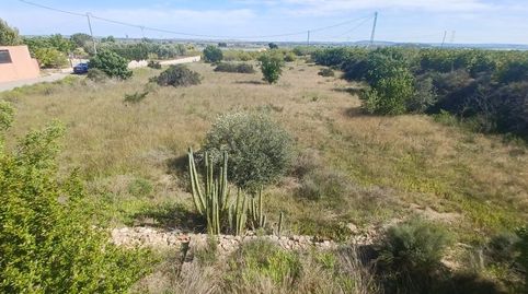 Foto 4 de Finca rústica en venda a Albatera, Alicante
