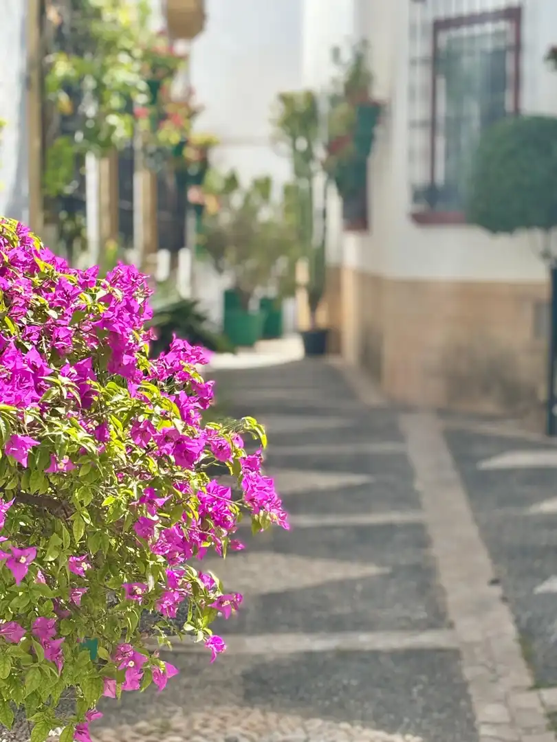 Gewerbefläche zum Verkauf in Estepona Pueblo, imagen 8