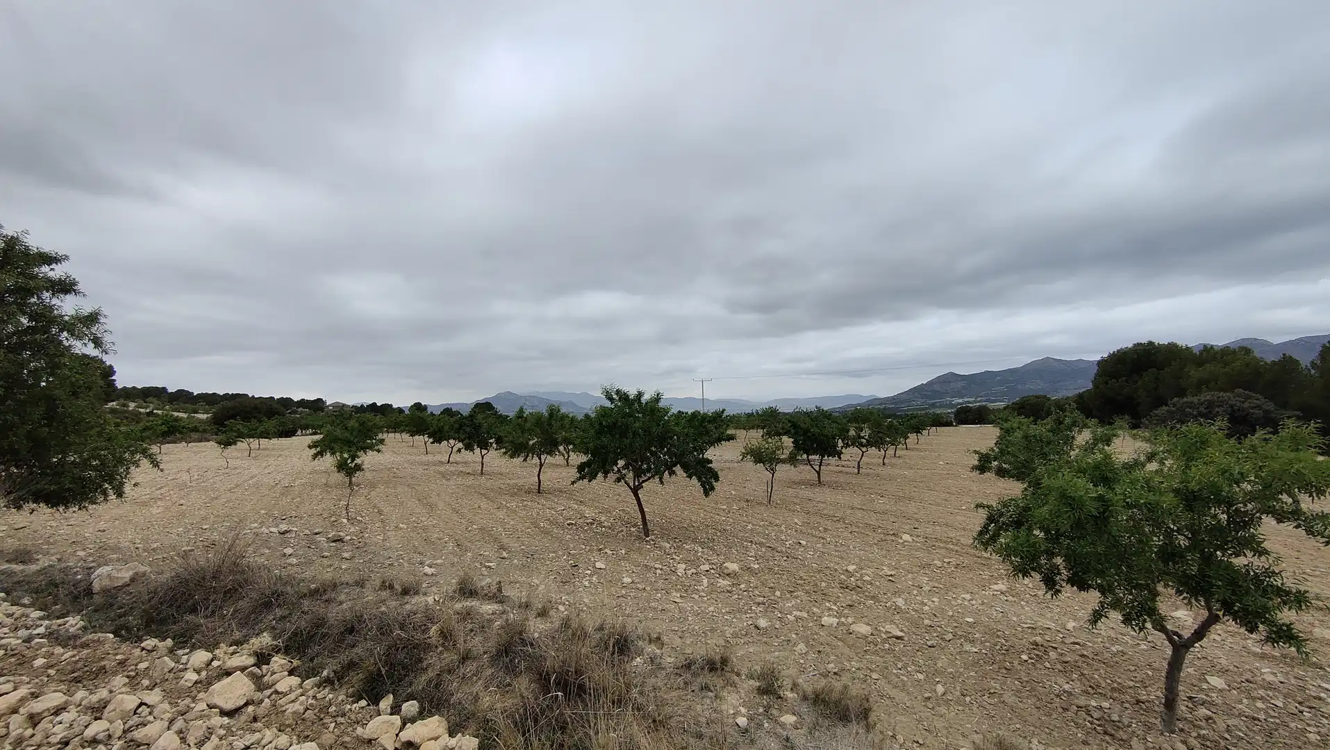 Terreno rustico in vendita a Plaça Poligono 3 271, imagen 9