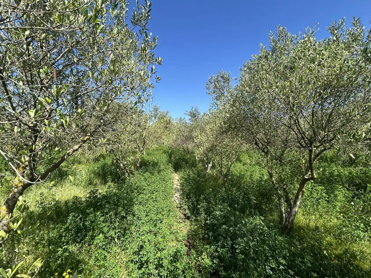 Finca rústica en venda en Tudela amb Piscina