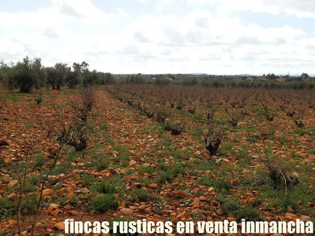 Rural land for sale in Valdepeñas, imagen 18