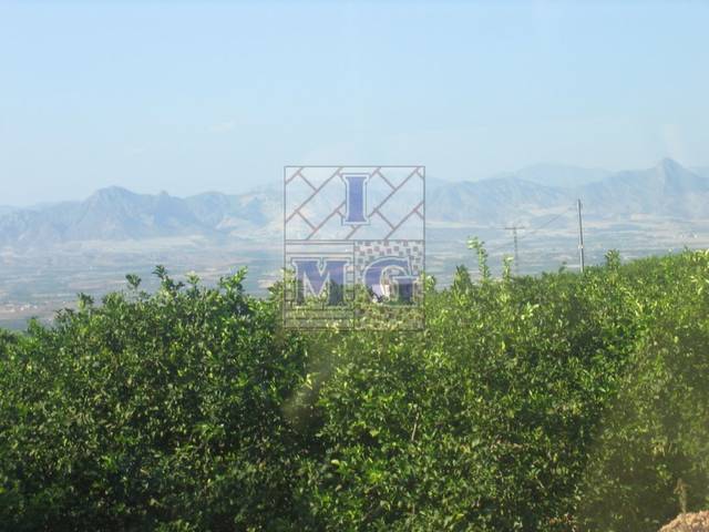 Terreno en Venta en Fortuna