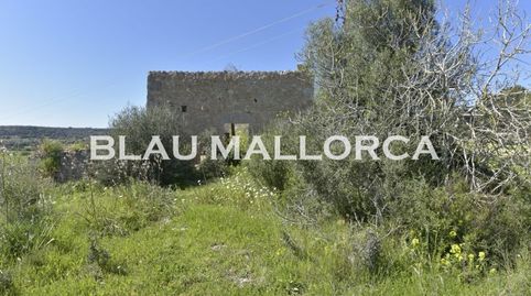 Foto 3 de Finca rústica en venta en Manacor Centre, Manacor