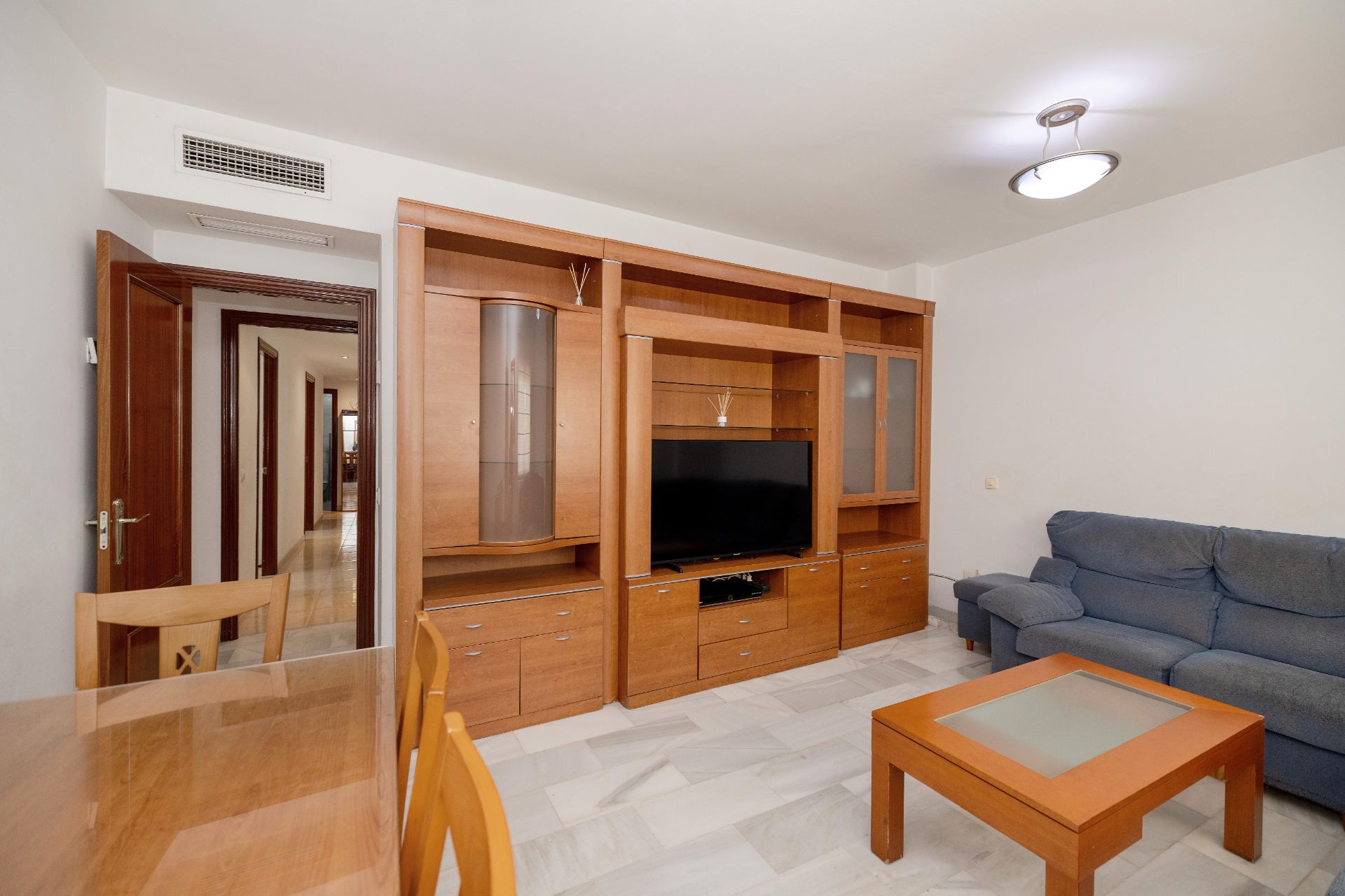 Living room of Flat for sale in Málaga Capital  with Air Conditioner, Heating and Terrace