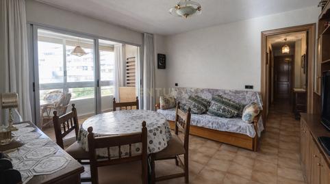 Photo 2 of Apartment to rent in Avenida Uruguay, 6, Benidorm, Spain, 6, Playa Poniente, Benidorm