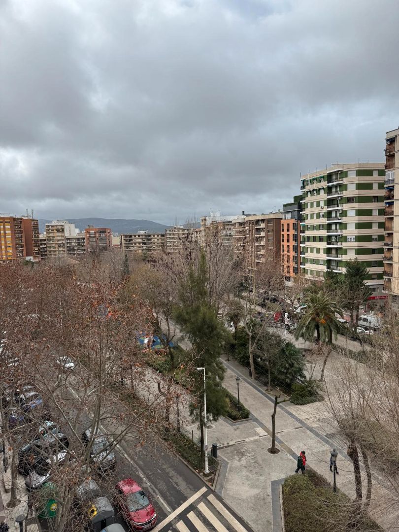 Flat to rent in Paseo de San Gregorio, Centro