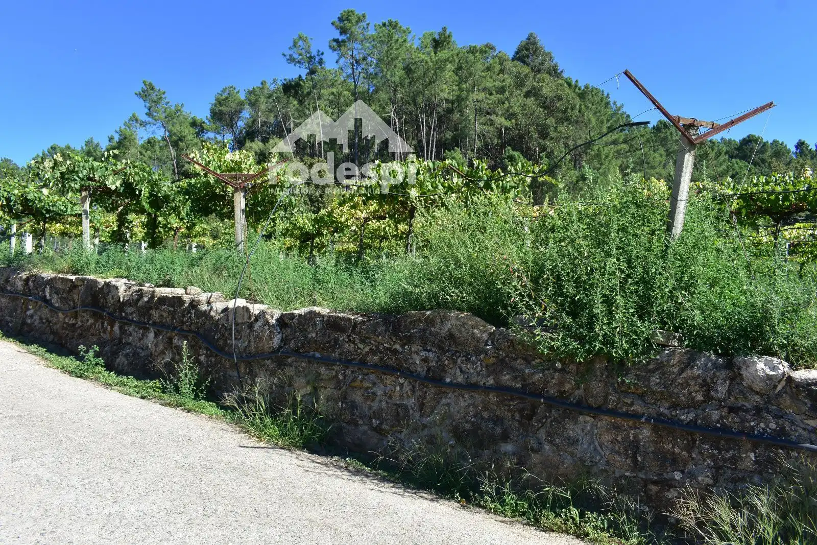 Villa mit Pool zum Verkauf in Crecente, imagen 62
