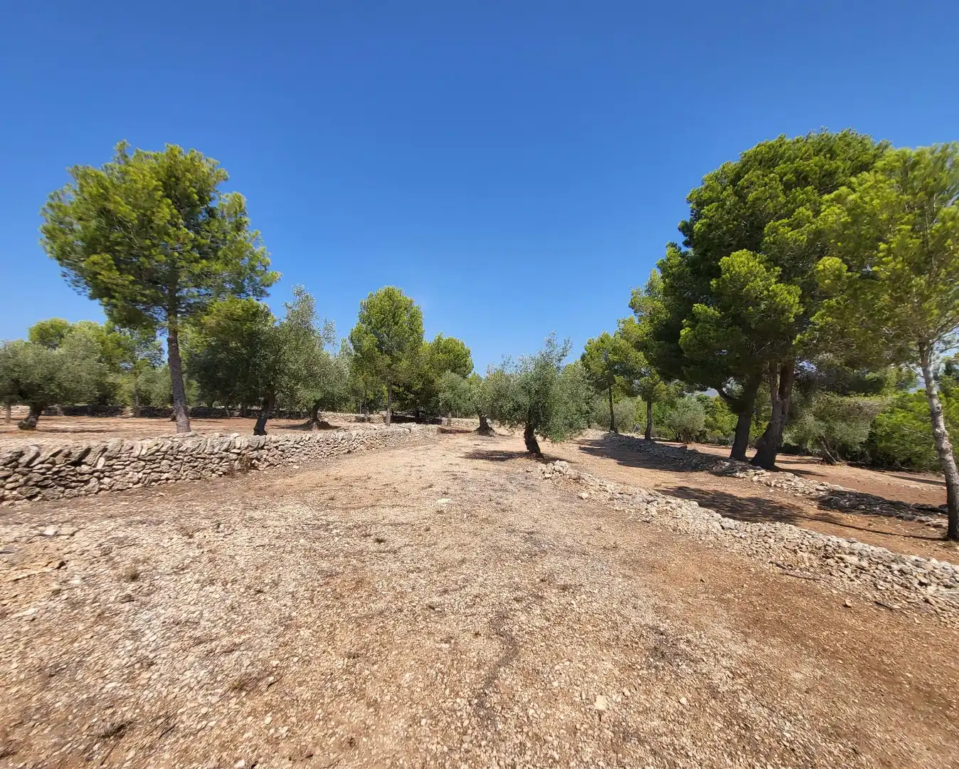 Landhaus mit Garten zum Verkauf in L'Ametlla de Mar pueblo, imagen 51