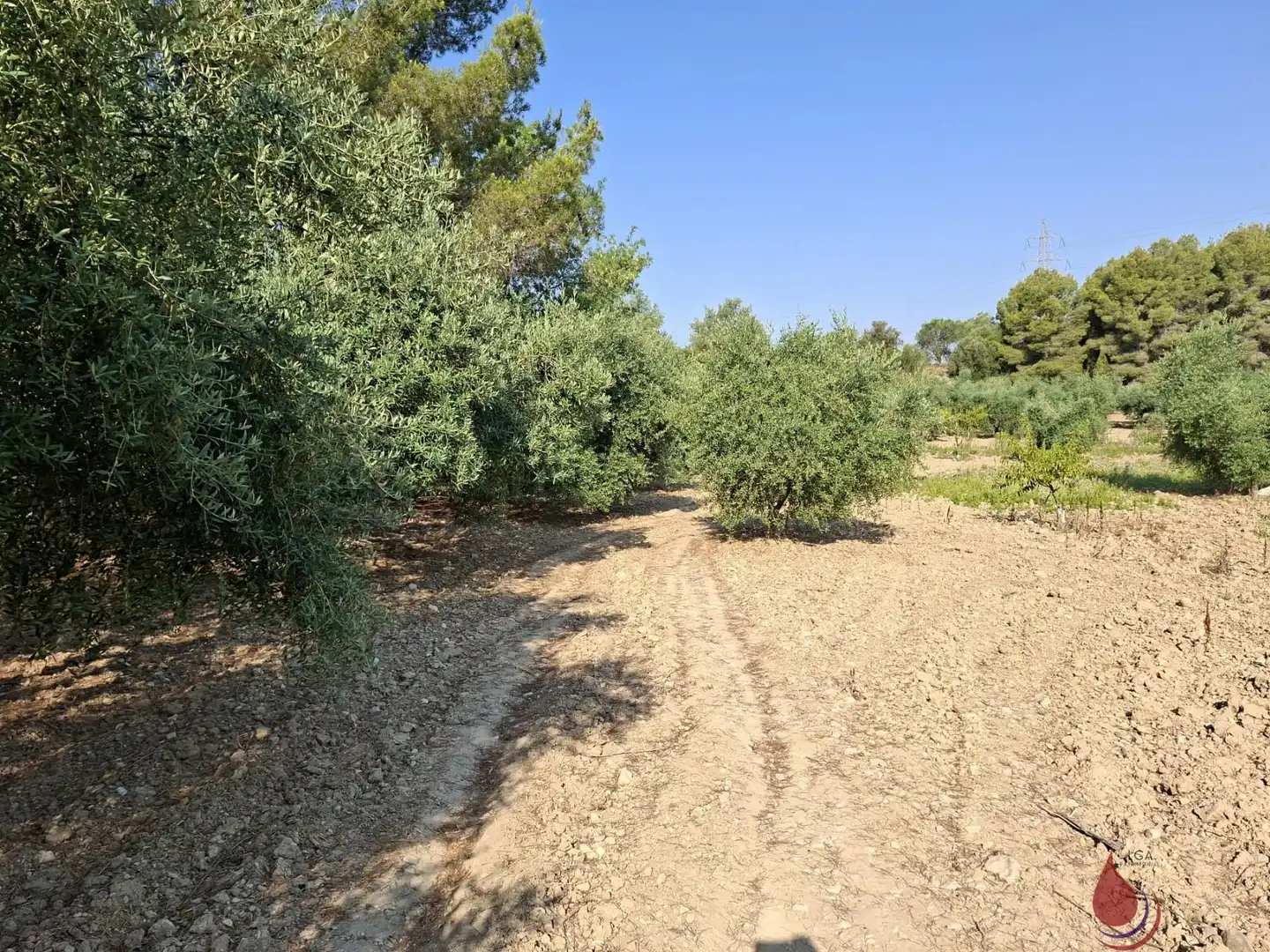 Terrenys i solars en venda a L'Arboç, imagen 5