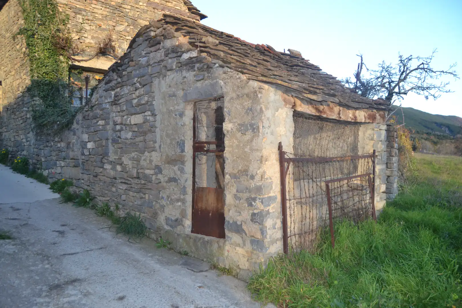 Vista exterior de Finca rústica en venta en Jaca