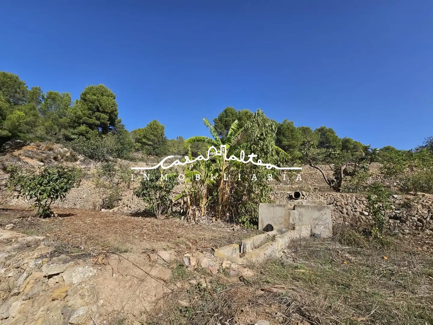 Casa rústica con jardín en venta en Callosa d'en Sarrià, imagen 14