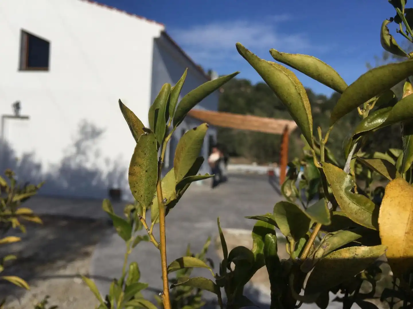 Country homes for rent in Galera  with Private garden, Swimming Pool and Oven