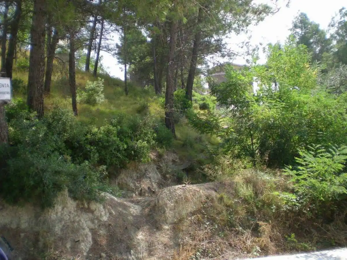 Terrenos y solares en venta en Castellgalí, imagen 2