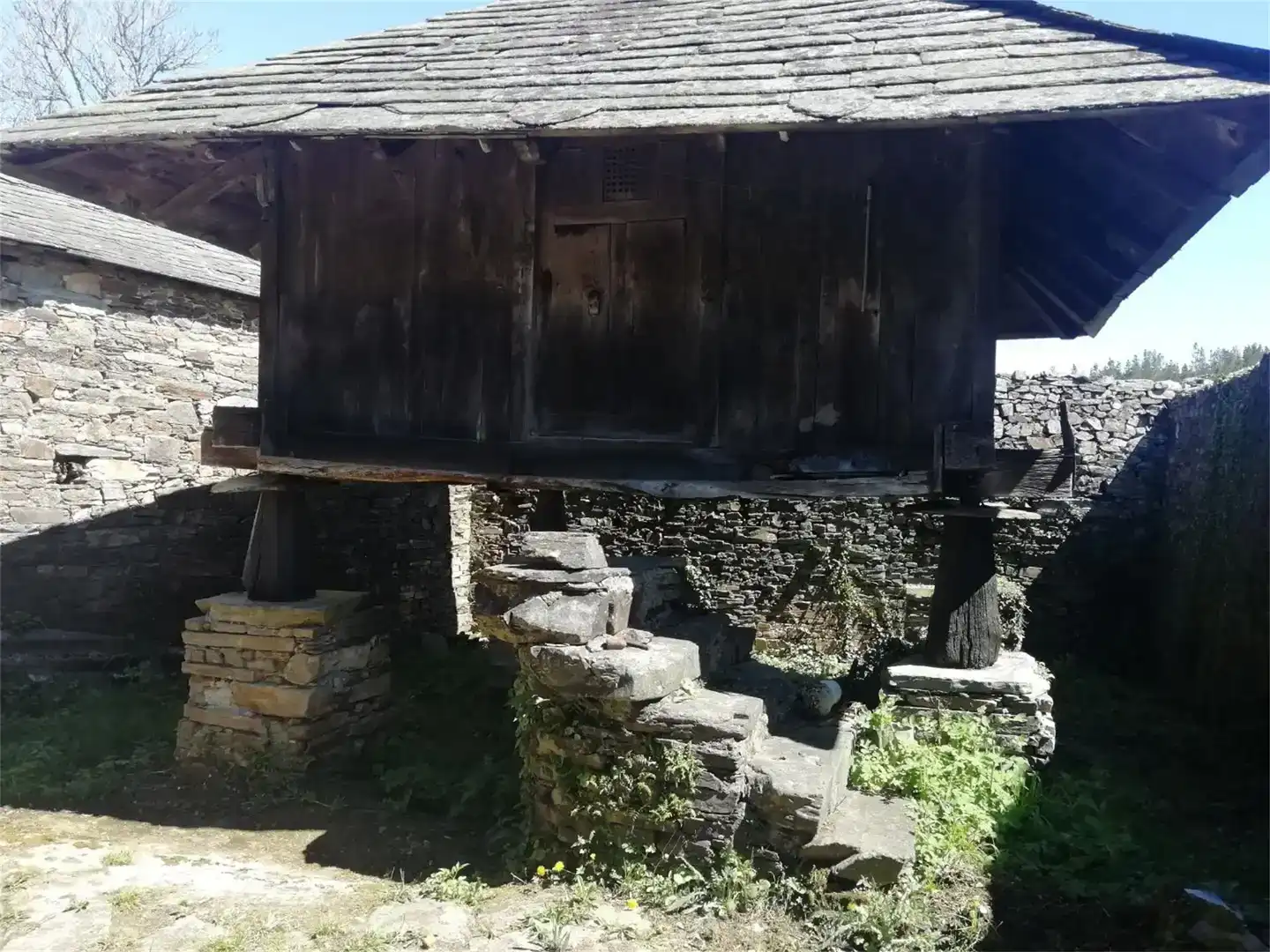 Vista exterior de Finca rústica en venda en A Fonsagrada 