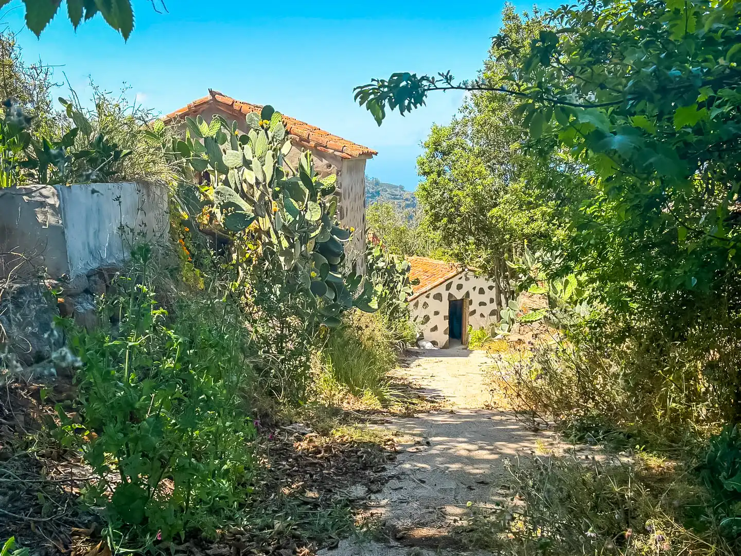 Vista exterior de Casa o chalet en venta en Valleseco