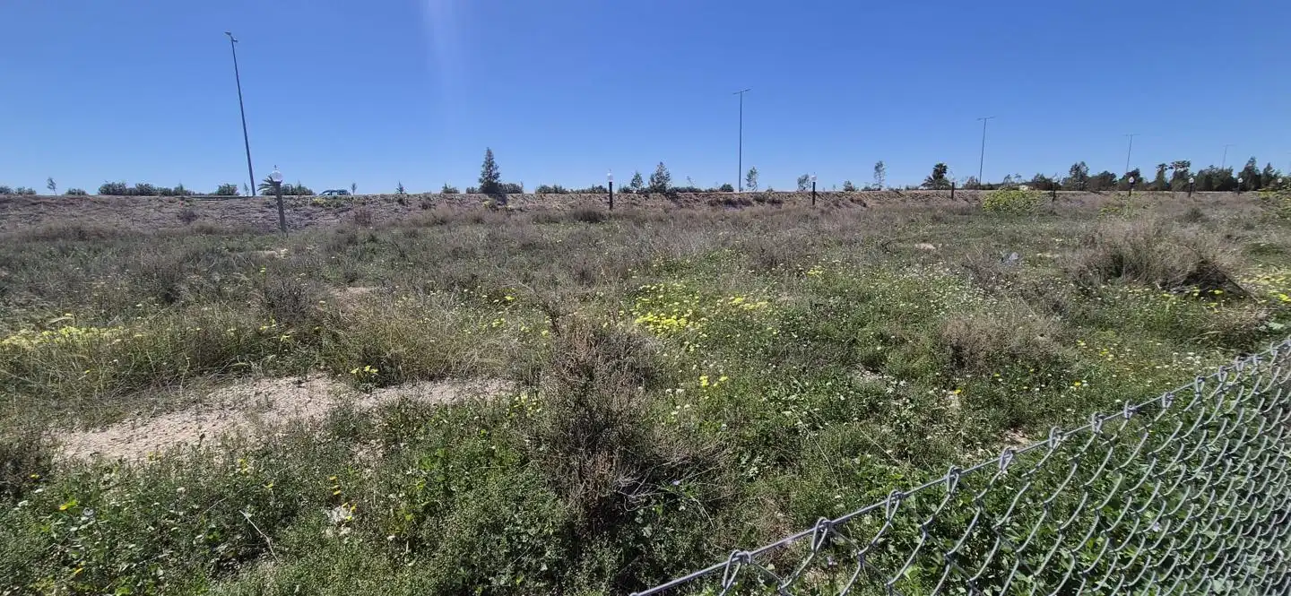 Lands and plots for sale in Elche ciudad, imagen 22