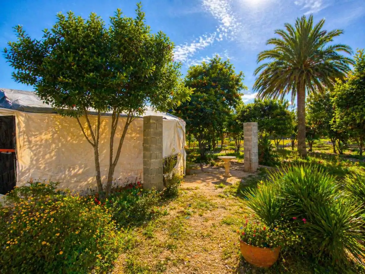 Jardí de Residencial en venda en Catral