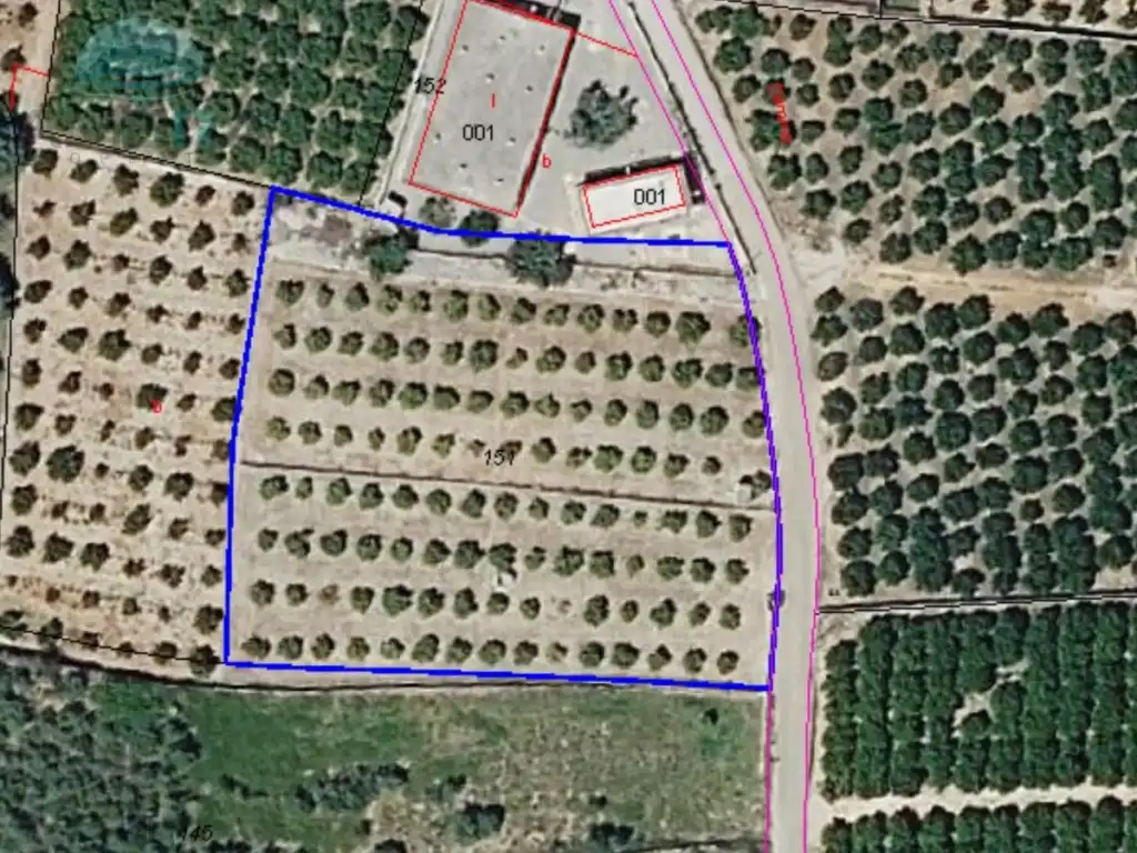 Rural land for sale in Partida Fontilles, imagen 4