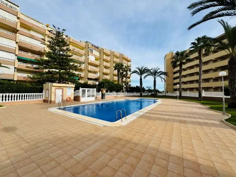 Apartament amb piscina en venda a La Mata, imagen 5