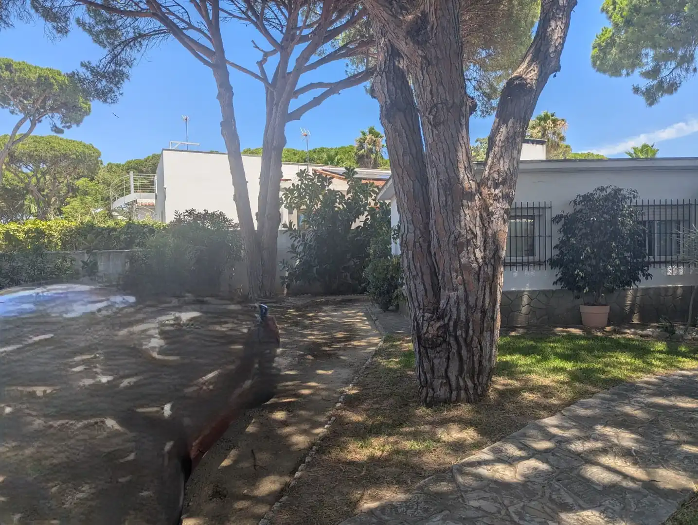 Xalet amb jardí en venda a La Barrosa, imagen 15