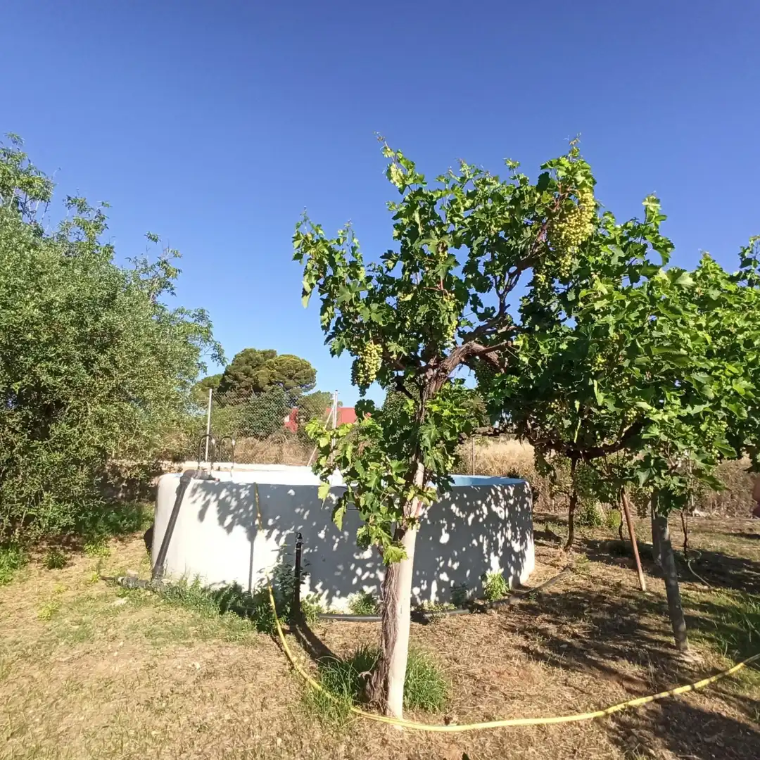 Jardín de Finca rústica en venta en Reus