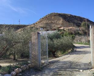 Vista exterior de Finca rústica en venda en Fines amb Jardí privat, Parquet i Traster