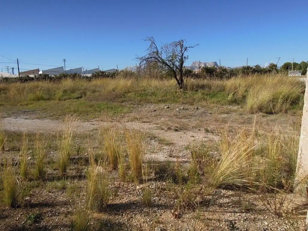 Magnifica parcela de 6.000 m2 calificada como ZonaPolígono industrial., imatge 4