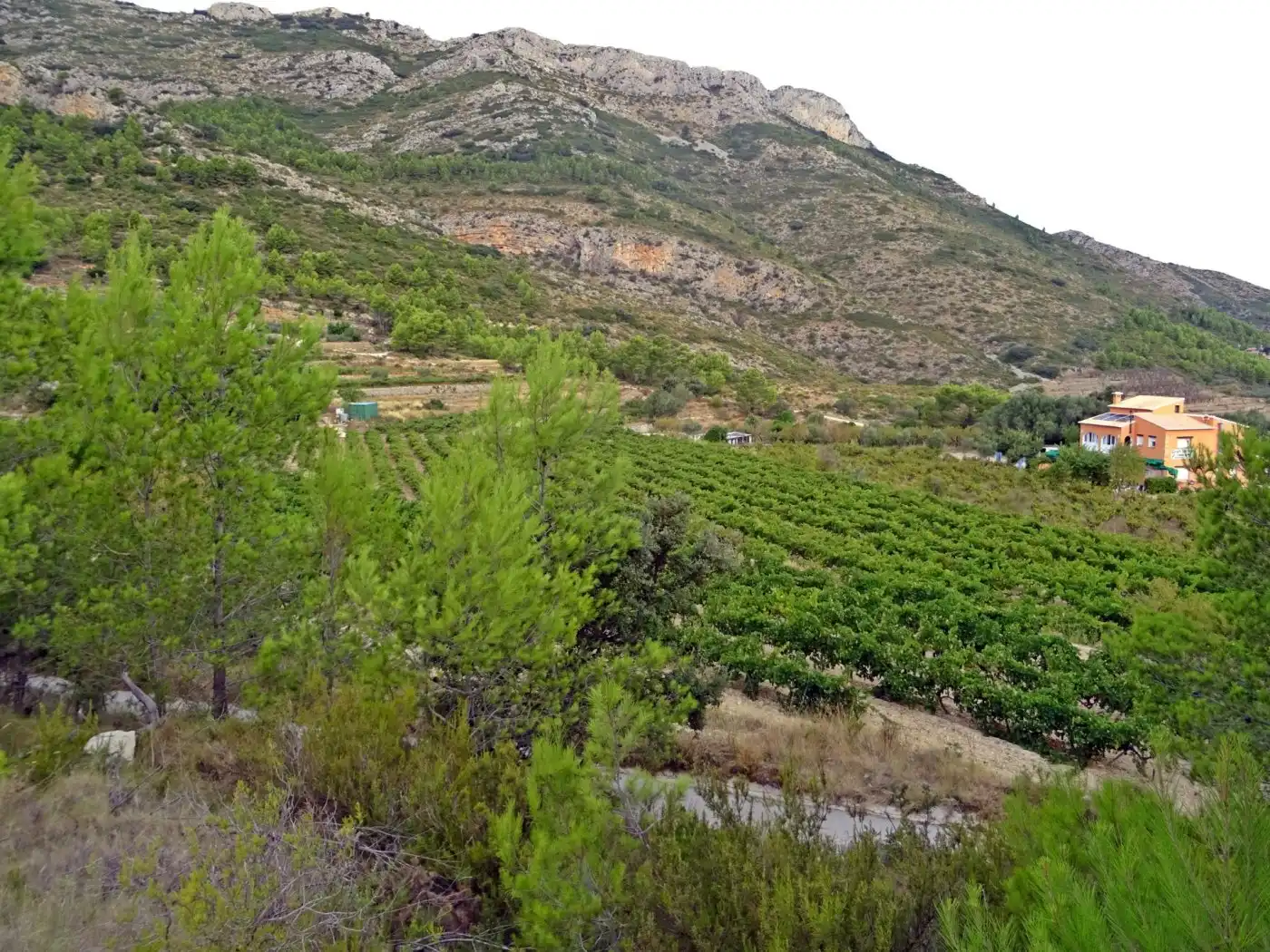 Locale commerciale in vendita a Xaló, imagen 13