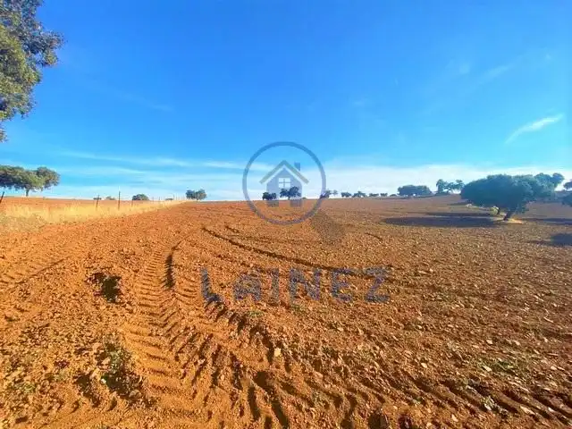 Lands and plots for sale in Fuente Obejuna, imagen 3