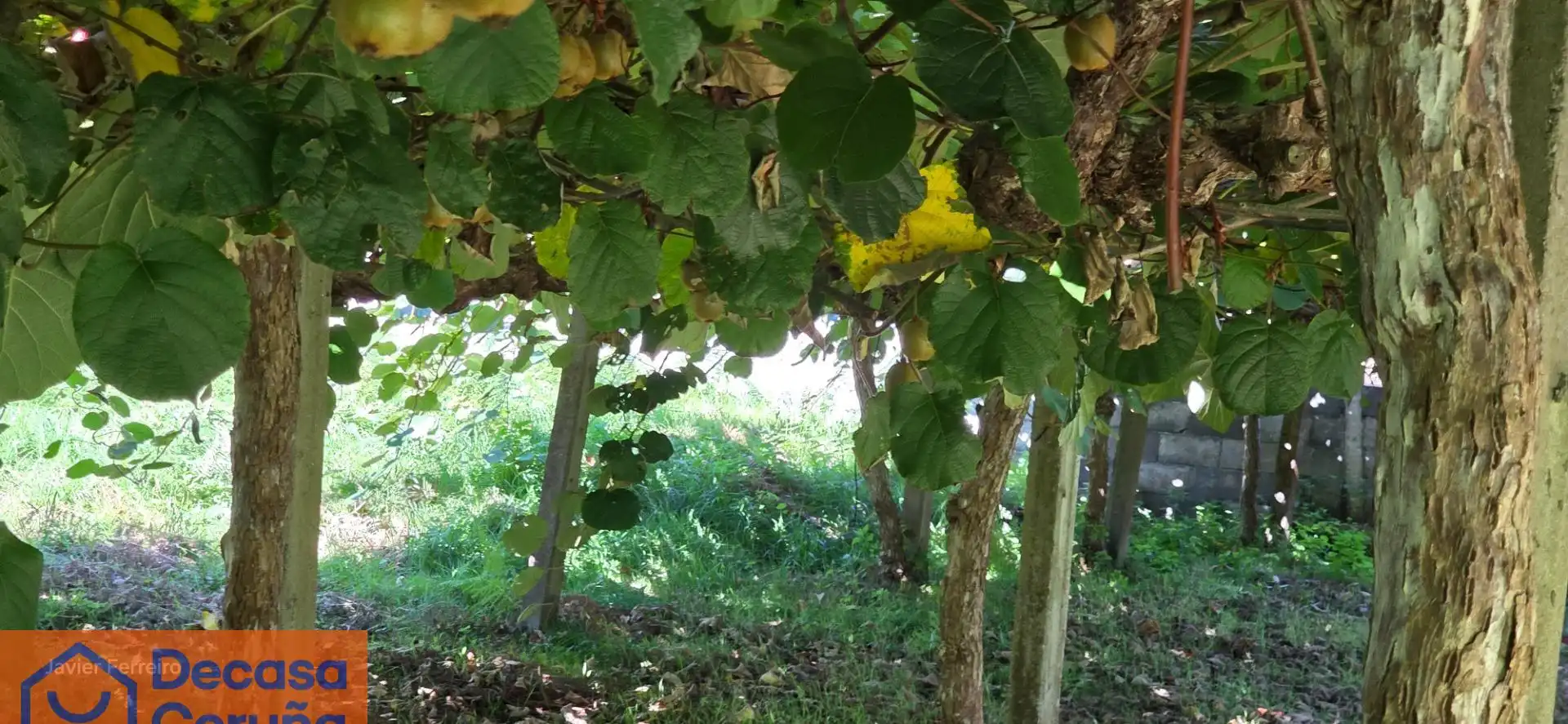 Garden of Houses for sale in Coirós  with Private garden, Storage room and Balcony