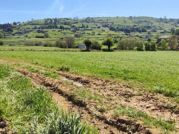 Terrain résidentiel à vendre à Santiurde de Toranzo