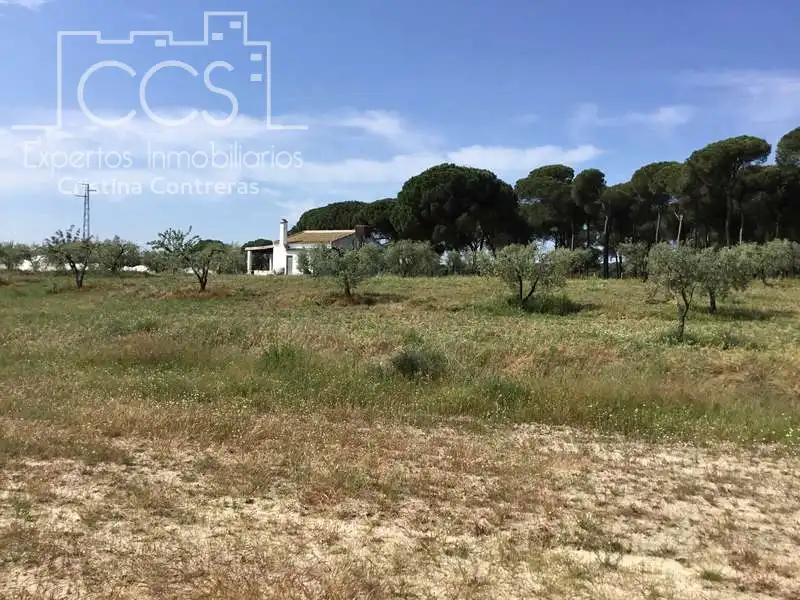 Finca rústica en venda en Almonte amb Terrassa i Moblat
