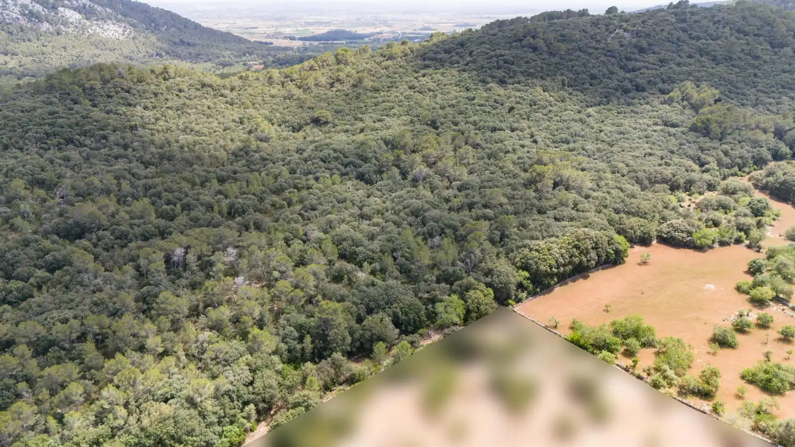 Casa rústica amb jardí en venda a Pollença Poble, imagen 31