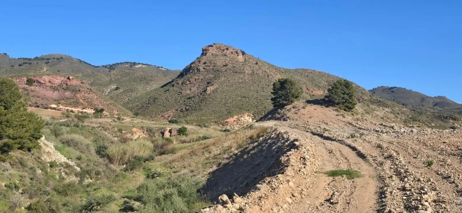 Casa o chalet en venta en Lorca