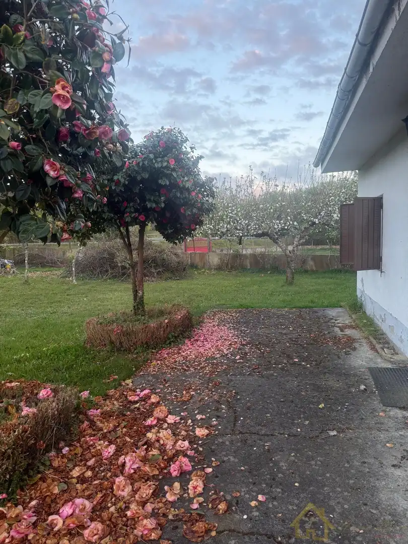 Jardín de Casa o chalet en venta en Friol