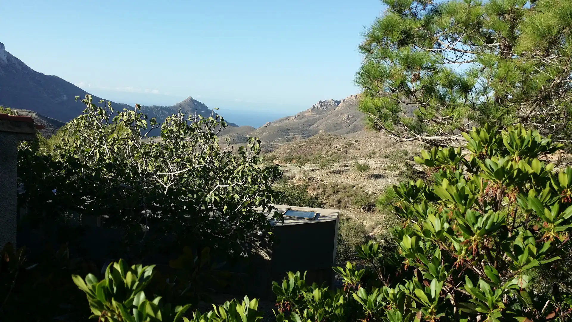 Villa con giardino in vendita a Pedanías Oeste, imagen 19