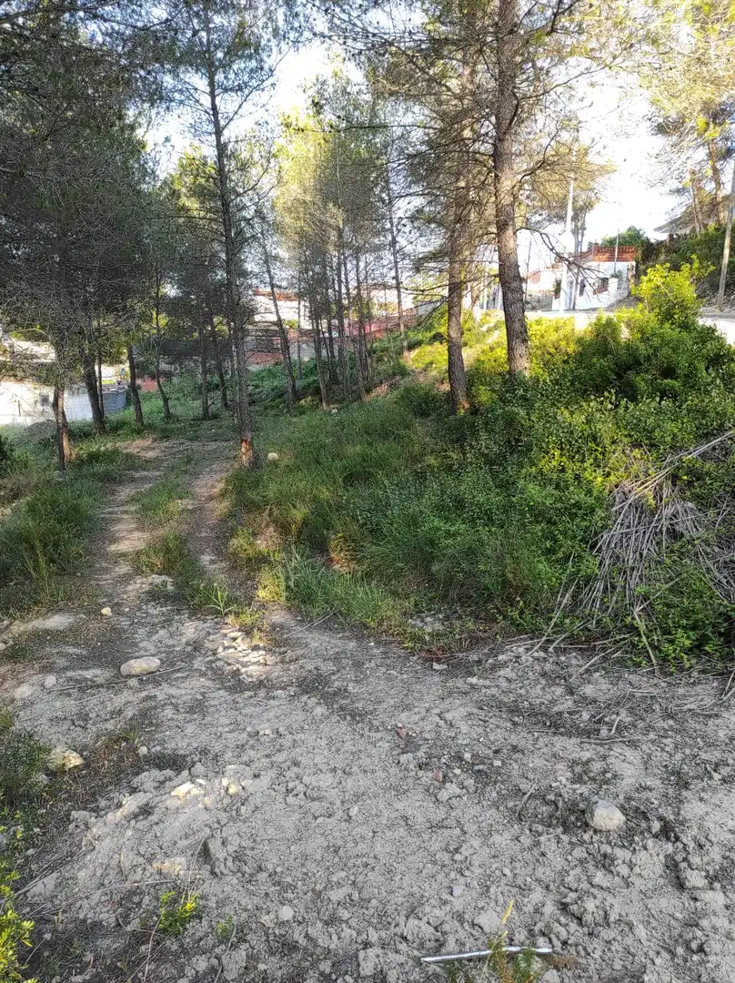Terreno residencial en venta en Canyelles, imagen 9